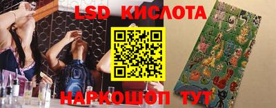 соль ск Кингисепп