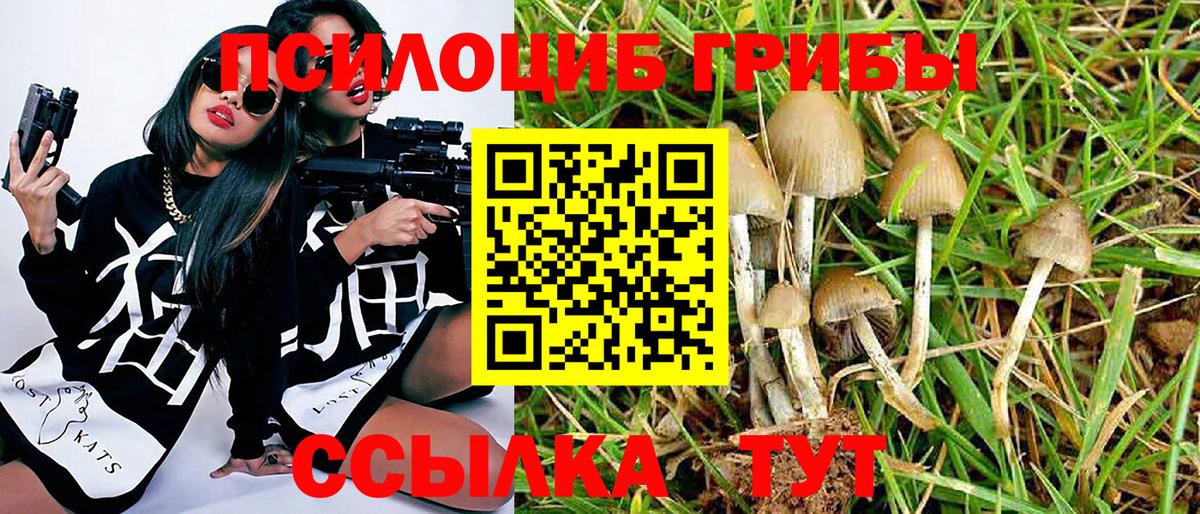 Галлюциногенные грибы ЛСД Туймазы