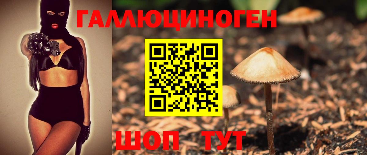 что такое наркотик  Вход с VPN  Туймазы  Псилоцибиновые грибы Psilocybe 